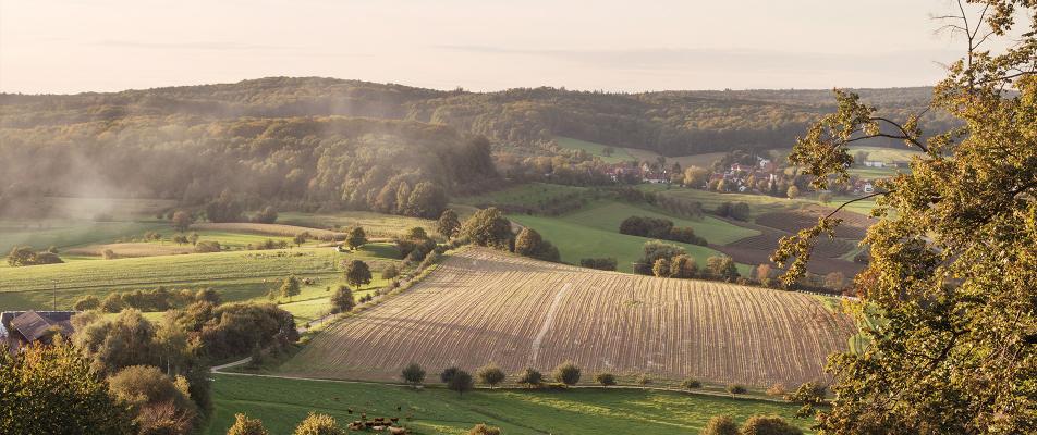 visuel nos actions pour l'environnement